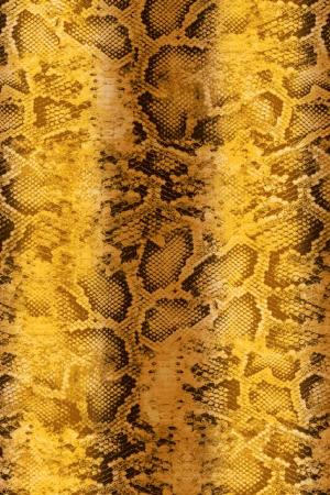 蛇纹 龙 圣诞 卡通 #1446777